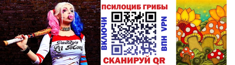 гидра ONION  Красноуфимск  Псилоцибиновые грибы Psilocybe 